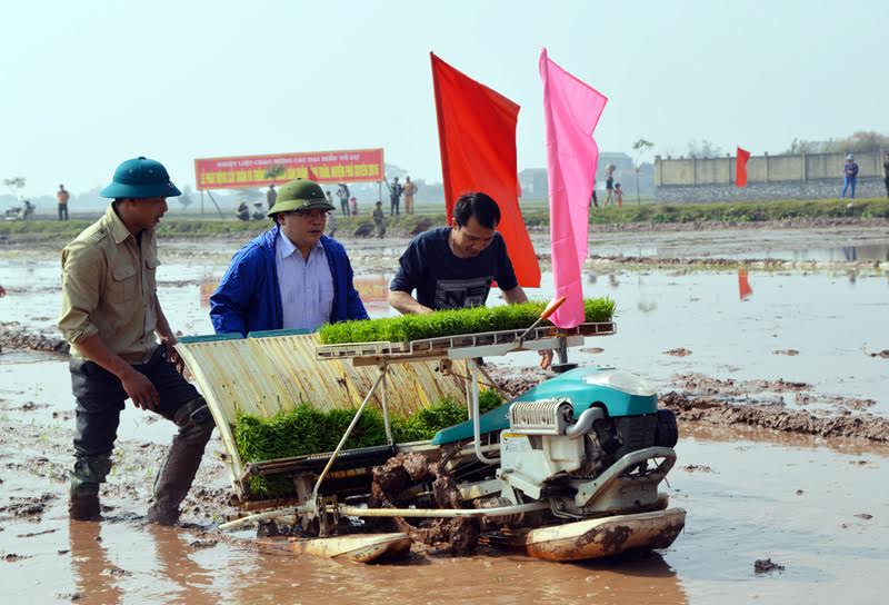 Bí[-]thư,[-]Chủ[-]tịch[-]Hà[-]Nội[-]xuống[-]đồng[-]đi[-]cấy